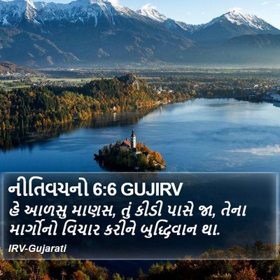 નીતિવચનો 6:6 GUJIRV Bible Verse Image
