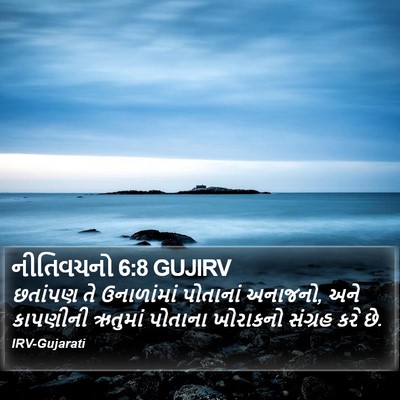 નીતિવચનો 6:8 GUJIRV Bible Verse Image