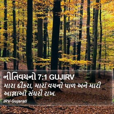નીતિવચનો 7:1 GUJIRV Bible Verse Image