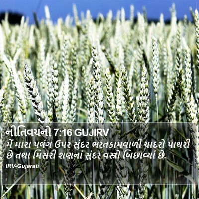 નીતિવચનો 7:16 GUJIRV Bible Verse Image