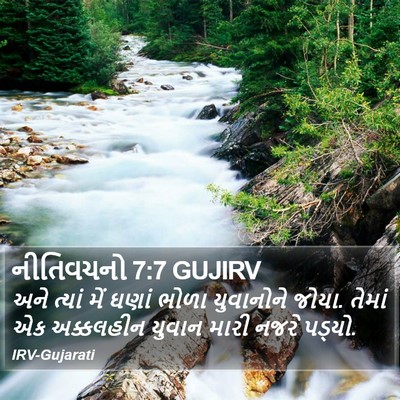 નીતિવચનો 7:7 GUJIRV Bible Verse Image