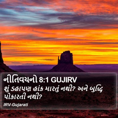 નીતિવચનો 8:1 GUJIRV Bible Verse Image