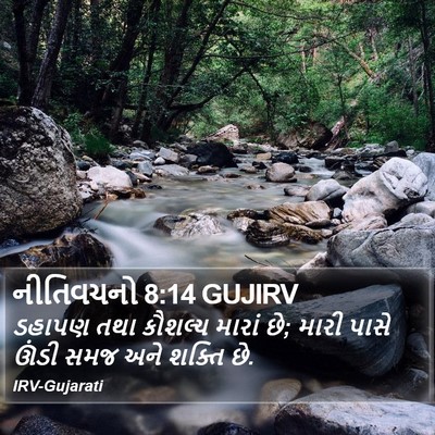 નીતિવચનો 8:14 GUJIRV Bible Verse Image