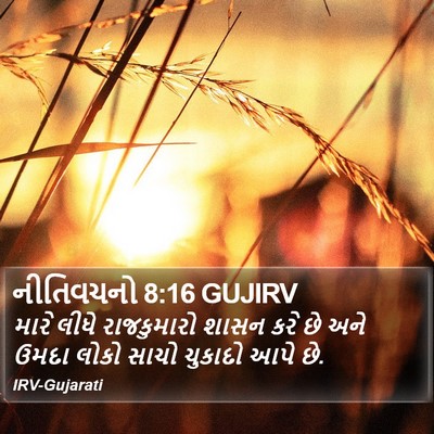 નીતિવચનો 8:16 GUJIRV Bible Verse Image