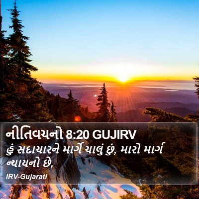 નીતિવચનો 8:20 GUJIRV Bible Verse Image