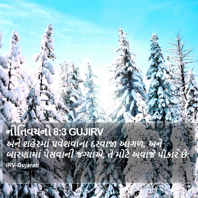 નીતિવચનો 8:3 GUJIRV Bible Verse Image