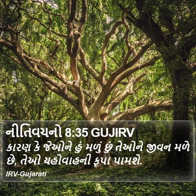 નીતિવચનો 8:35 GUJIRV Bible Verse Image