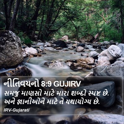 નીતિવચનો 8:9 GUJIRV Bible Verse Image