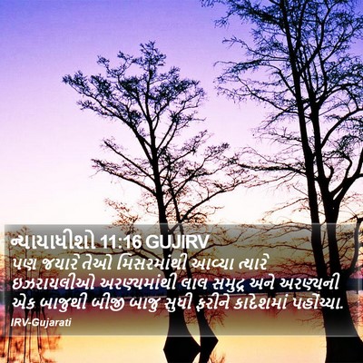 ન્યાયાધીશો 11:16 GUJIRV Bible Verse Image