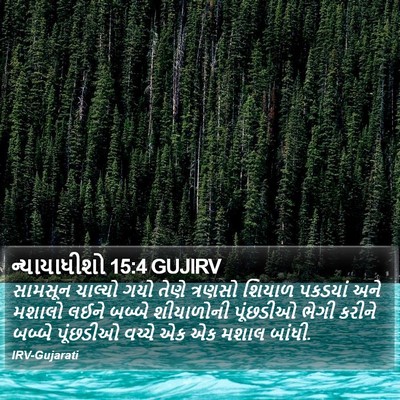 ન્યાયાધીશો 15:4 GUJIRV Bible Verse Image