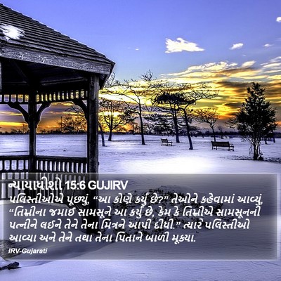 ન્યાયાધીશો 15:6 GUJIRV Bible Verse Image
