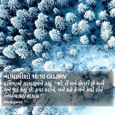 ન્યાયાધીશો 16:10 GUJIRV Bible Verse Image