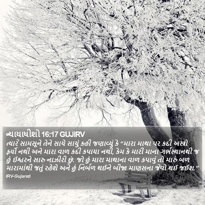 ન્યાયાધીશો 16:17 GUJIRV Bible Verse Image