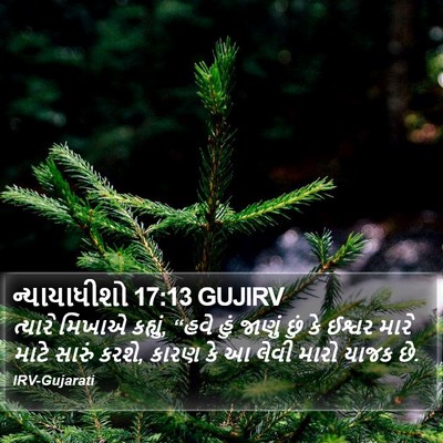 ન્યાયાધીશો 17:13 GUJIRV Bible Verse Image