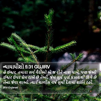 ન્યાયાધીશો 5:31 GUJIRV Bible Verse Image