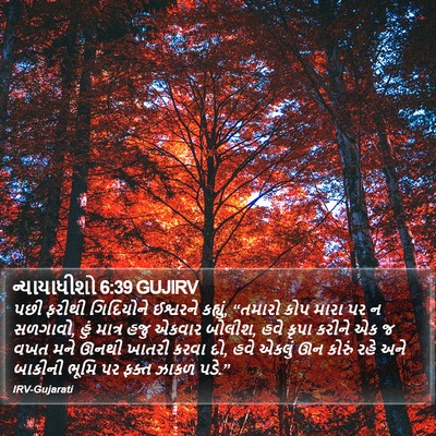 ન્યાયાધીશો 6:39 GUJIRV Bible Verse Image