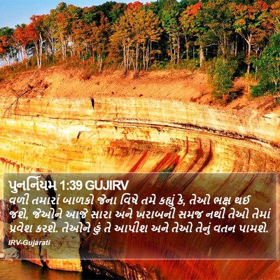 પુનર્નિયમ 1:39 GUJIRV Bible Verse Image