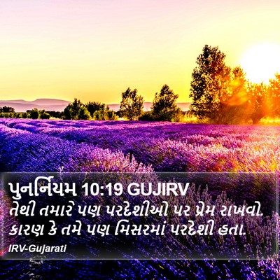 પુનર્નિયમ 10:19 GUJIRV Bible Verse Image