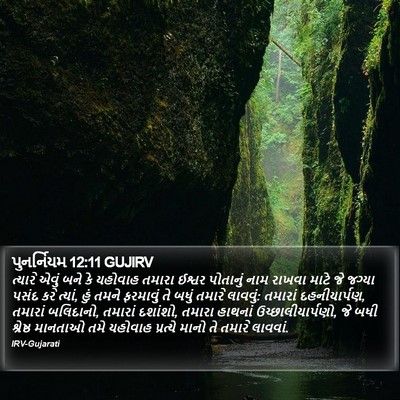 પુનર્નિયમ 12:11 GUJIRV Bible Verse Image