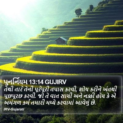 પુનર્નિયમ 13:14 GUJIRV Bible Verse Image