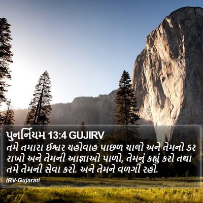 પુનર્નિયમ 13:4 GUJIRV Bible Verse Image