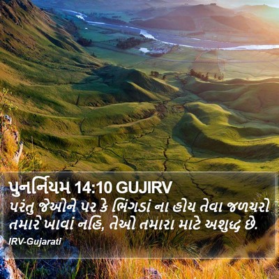 પુનર્નિયમ 14:10 GUJIRV Bible Verse Image