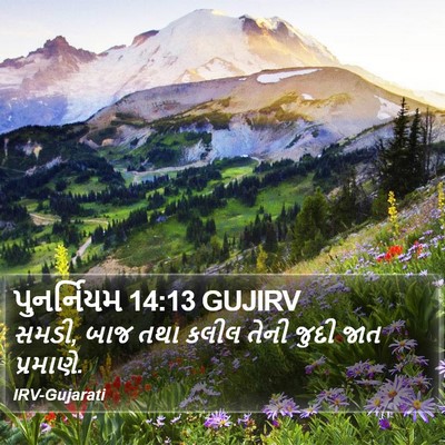 પુનર્નિયમ 14:13 GUJIRV Bible Verse Image
