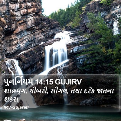 પુનર્નિયમ 14:15 GUJIRV Bible Verse Image