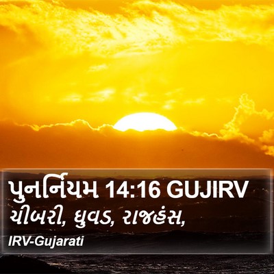 પુનર્નિયમ 14:16 GUJIRV Bible Verse Image