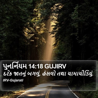 પુનર્નિયમ 14:18 GUJIRV Bible Verse Image
