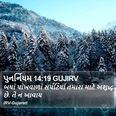 પુનર્નિયમ 14:19 GUJIRV Bible Verse Image