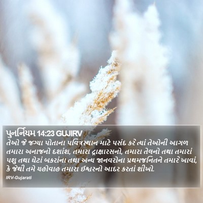પુનર્નિયમ 14:23 GUJIRV Bible Verse Image