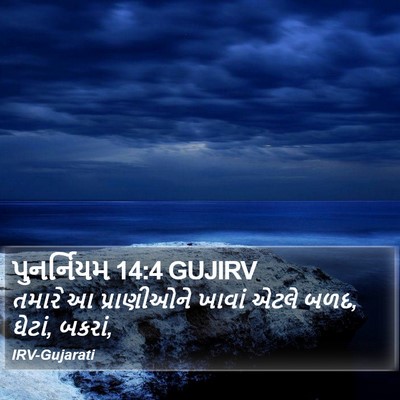 પુનર્નિયમ 14:4 GUJIRV Bible Verse Image