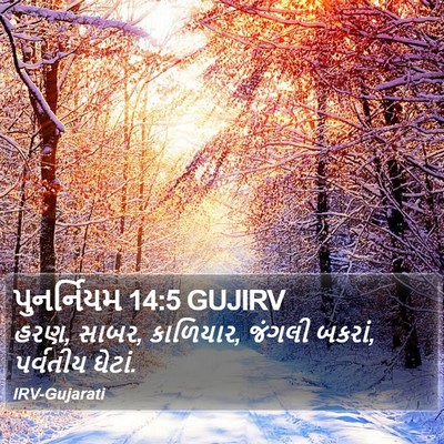 પુનર્નિયમ 14:5 GUJIRV Bible Verse Image