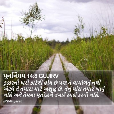 પુનર્નિયમ 14:8 GUJIRV Bible Verse Image