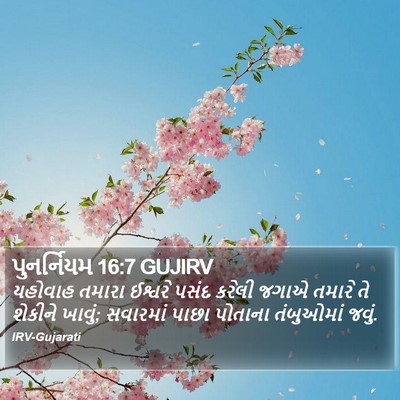પુનર્નિયમ 16:7 GUJIRV Bible Verse Image