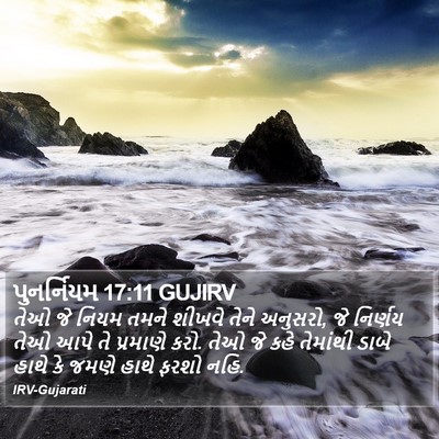 પુનર્નિયમ 17:11 GUJIRV Bible Verse Image
