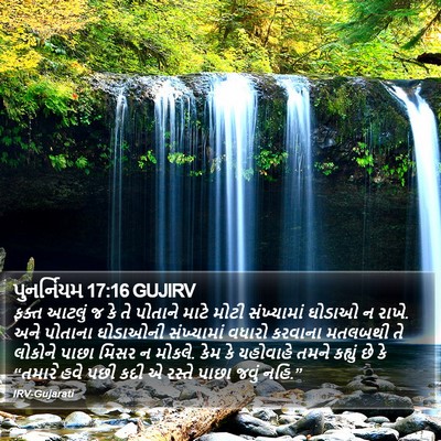 પુનર્નિયમ 17:16 GUJIRV Bible Verse Image