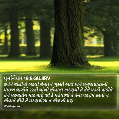 પુનર્નિયમ 19:6 GUJIRV Bible Verse Image