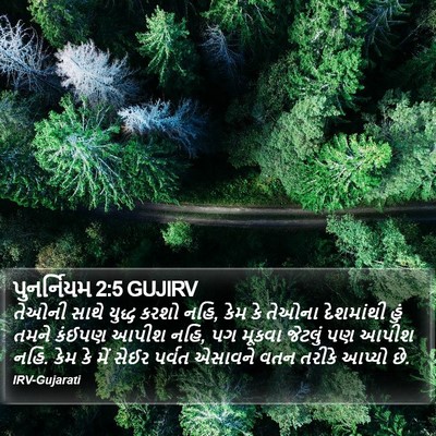 પુનર્નિયમ 2:5 GUJIRV Bible Verse Image