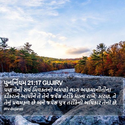 પુનર્નિયમ 21:17 GUJIRV Bible Verse Image