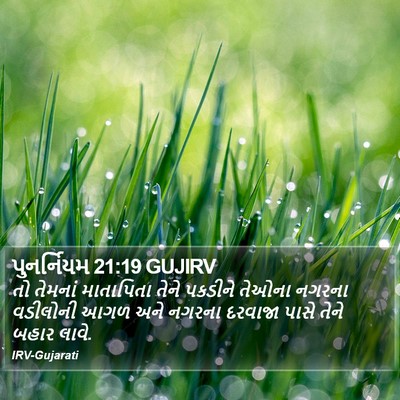 પુનર્નિયમ 21:19 GUJIRV Bible Verse Image