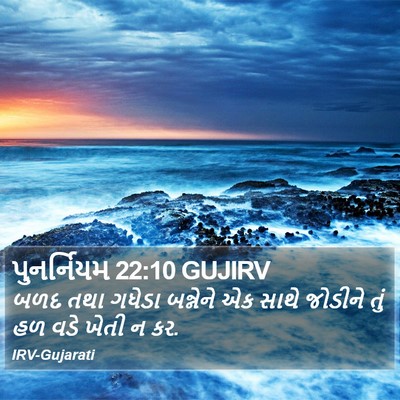 પુનર્નિયમ 22:10 GUJIRV Bible Verse Image