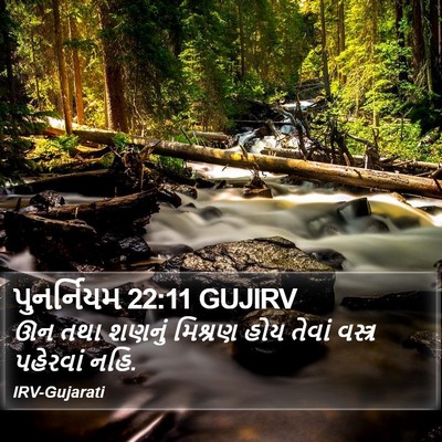 પુનર્નિયમ 22:11 GUJIRV Bible Verse Image