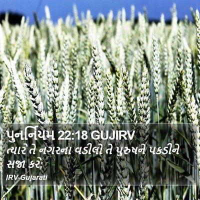 પુનર્નિયમ 22:18 GUJIRV Bible Verse Image