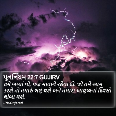 પુનર્નિયમ 22:7 GUJIRV Bible Verse Image