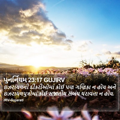 પુનર્નિયમ 23:17 GUJIRV Bible Verse Image