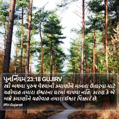 પુનર્નિયમ 23:18 GUJIRV Bible Verse Image