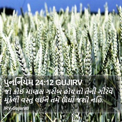 પુનર્નિયમ 24:12 GUJIRV Bible Verse Image
