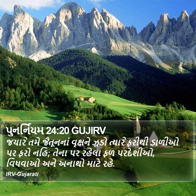 પુનર્નિયમ 24:20 GUJIRV Bible Verse Image